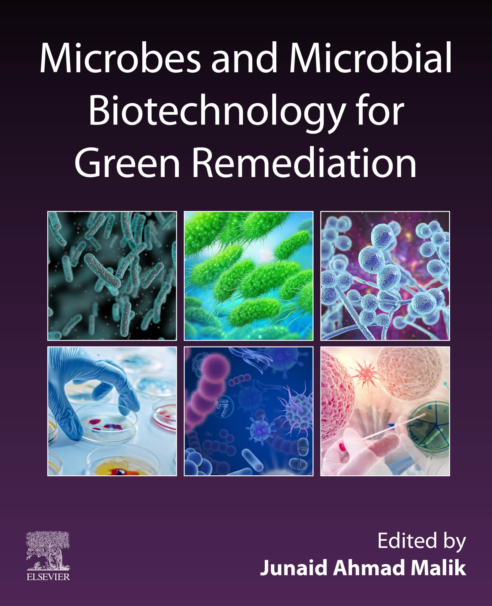 Microbes and Microbial Biotechnology for Green Remediation - World ...